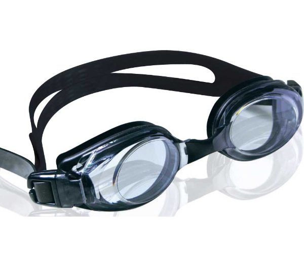 GOGGLE GORDON SMOKE/SILVER