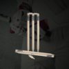 BAS CRICKET STUMP SET - CLUB