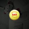 BAS INDOOR CRICKET BALL