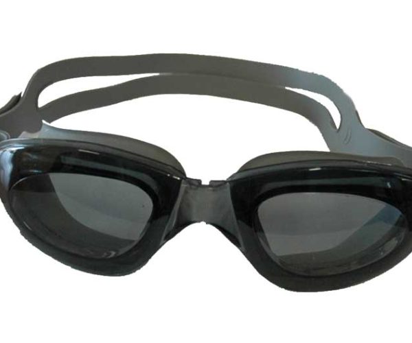 GOGGLE GORDON SMOKE/BLACK