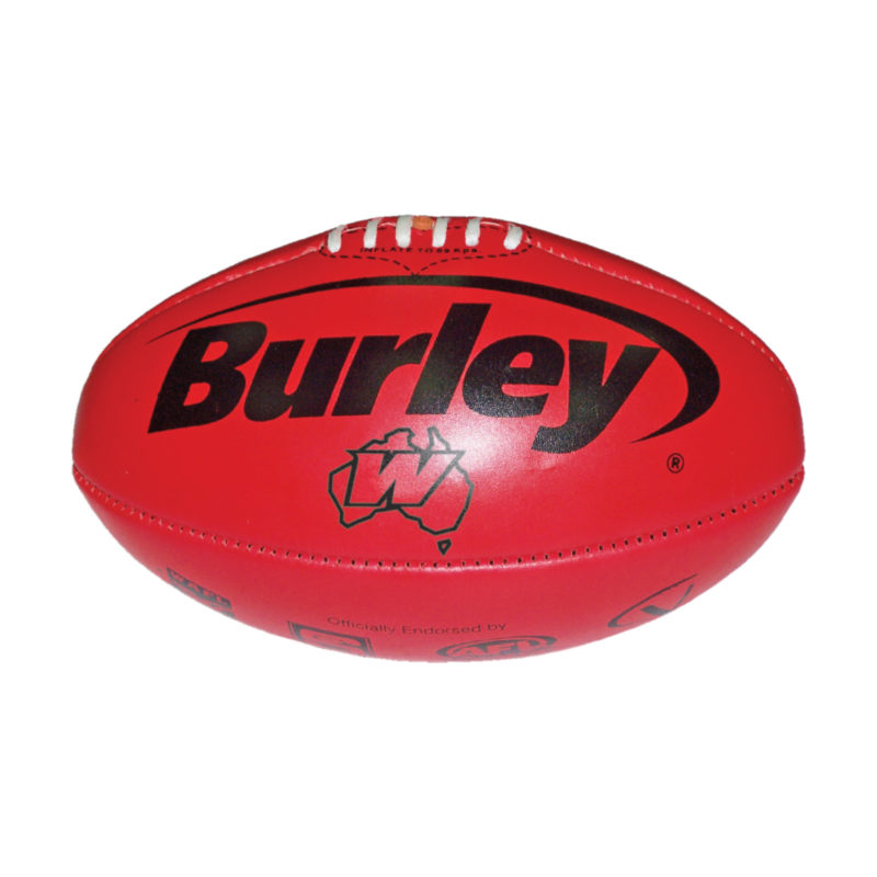 Burley Premier Women's Football